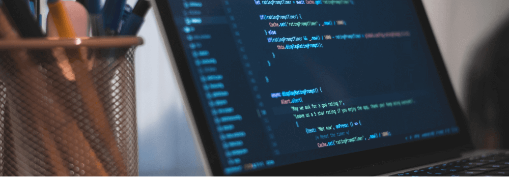 SoftwareEngineer
