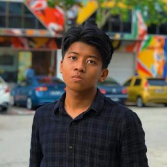 MUHAMMAD IRFAN MUKHLIS BIN BADRUL HISAM